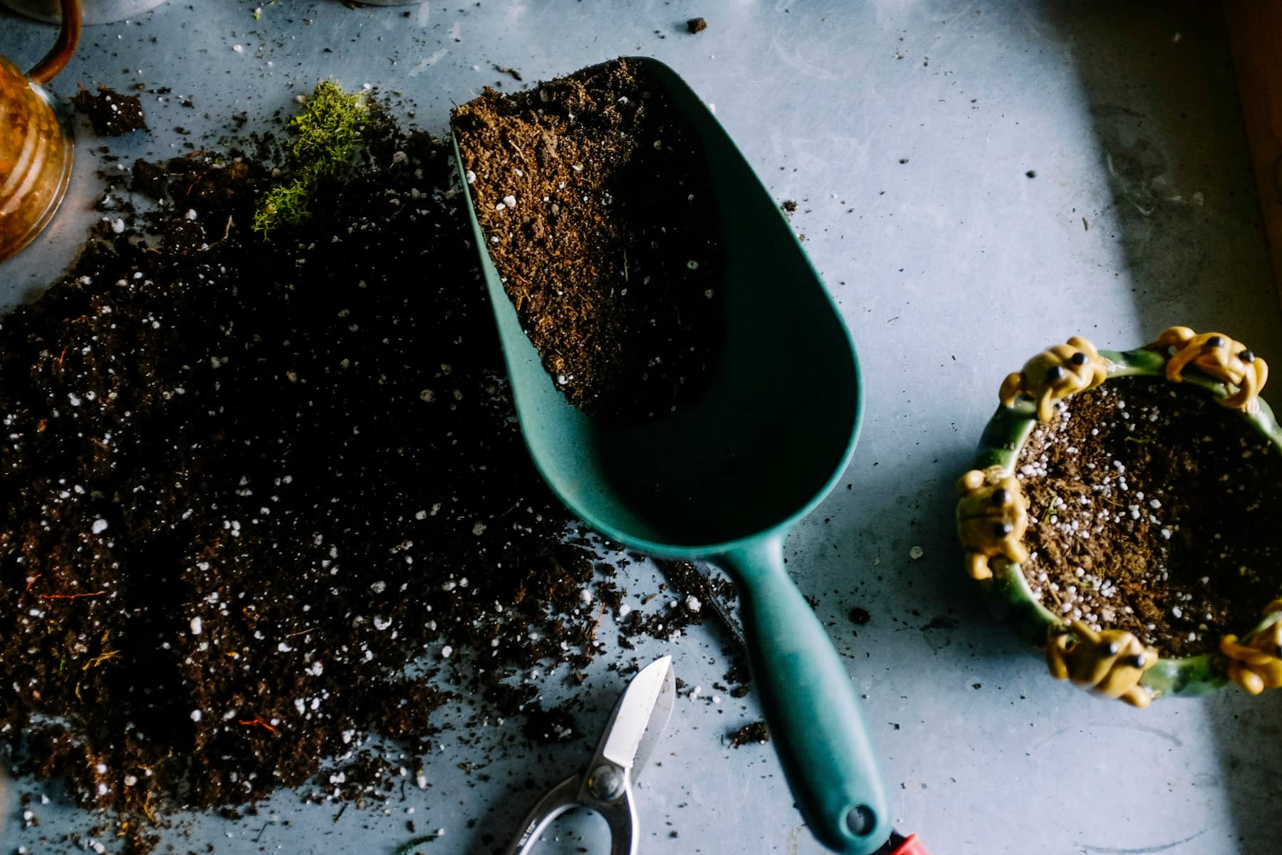 A scoop of potting soil prepared for planting