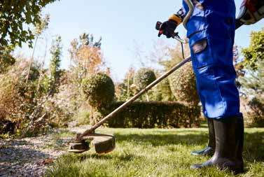 A groundsman using a strimmer on a garden lawn